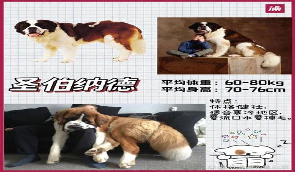 绝地求生宙斯辅助怎么用（绝地求生宙斯辅助的主要功能和优势是什么？）